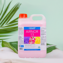 Carregar imagem no visualizador da galeria, AIRNOR 13 5L