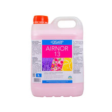 Carregar imagem no visualizador da galeria, Ambientador de alta concentración, especialmente formulado para la eliminación de malos olores en aseos, saunas, gimnasios, habitaciones cerradas, etc. Indicado para lugares muy frecuentados y con escasa ventilación.